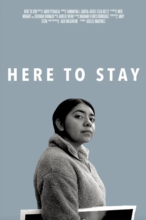 Постер: Here to Stay