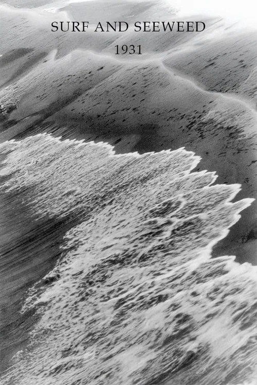 Постер: Surf and Seaweed