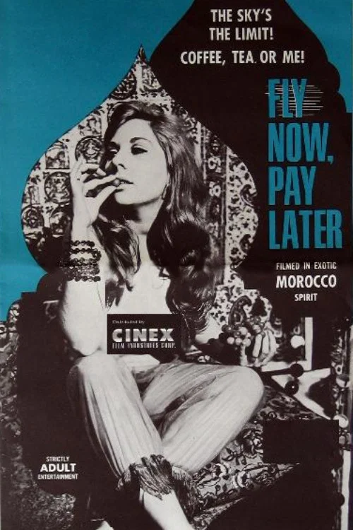 Постер: Fly Now, Pay Later