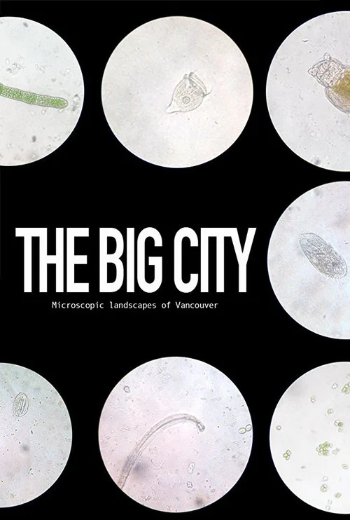 Постер: The Big City