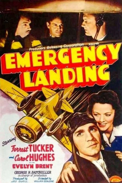 Постер: Emergency Landing