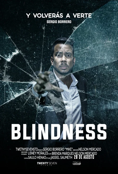 Постер: Blindness