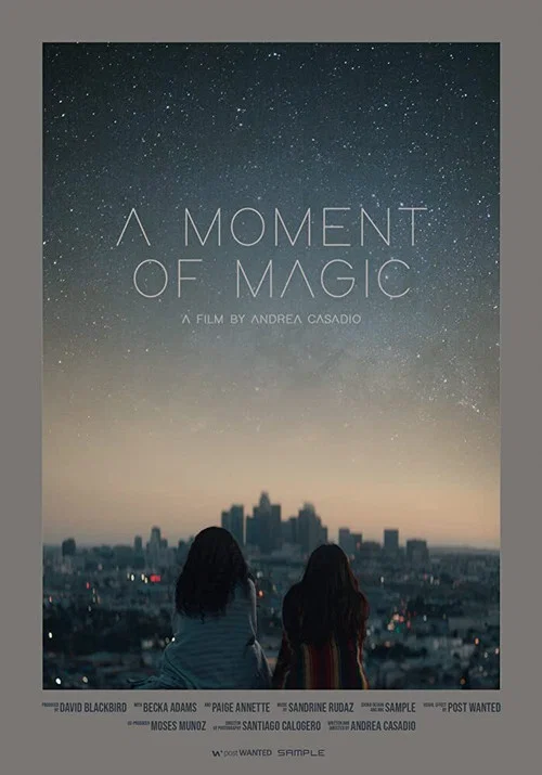 Постер: A Moment of Magic