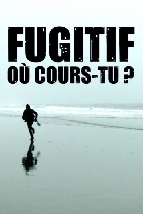 Постер: Fugitif, où cours-tu ?