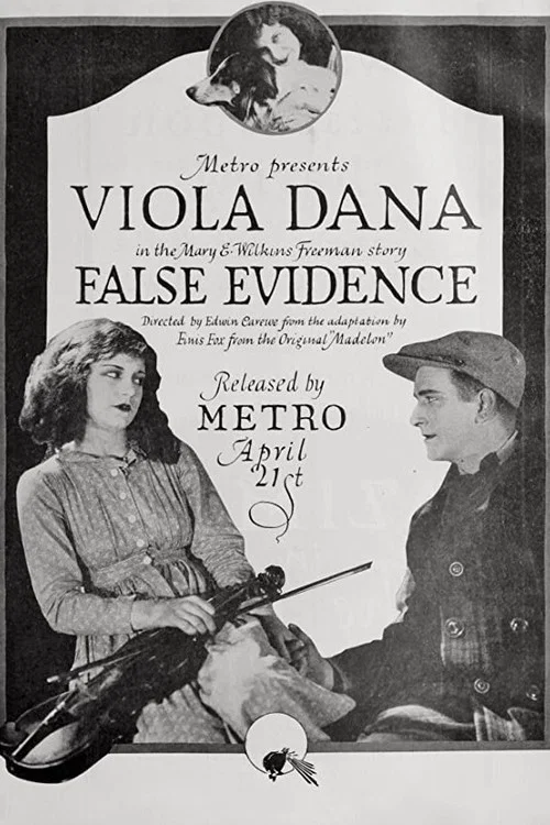 Постер: False Evidence