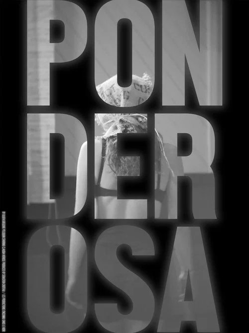 Постер: Ponderosa
