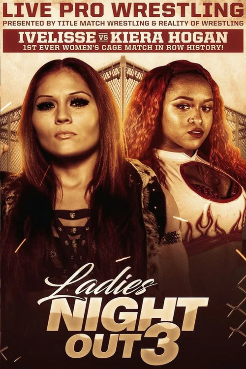 Постер: Ladies Night Out 3