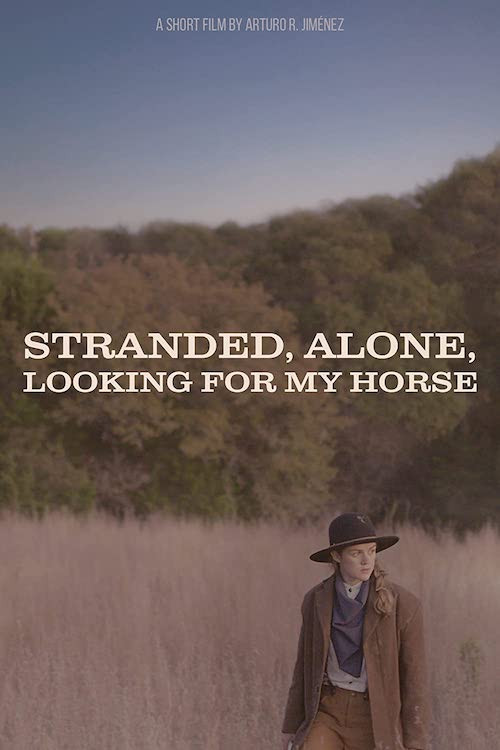Постер: Stranded, Alone, Looking for my Horse