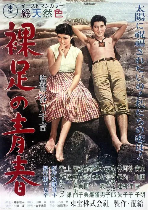Постер: Fukuaki no seishun