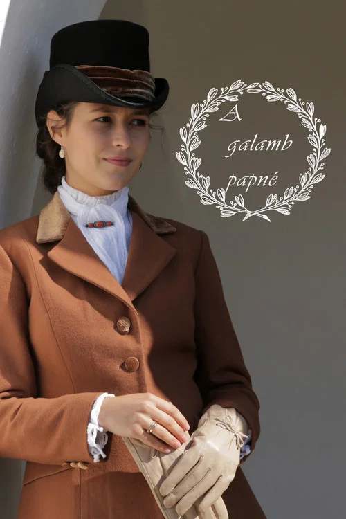 Постер: A galamb papné