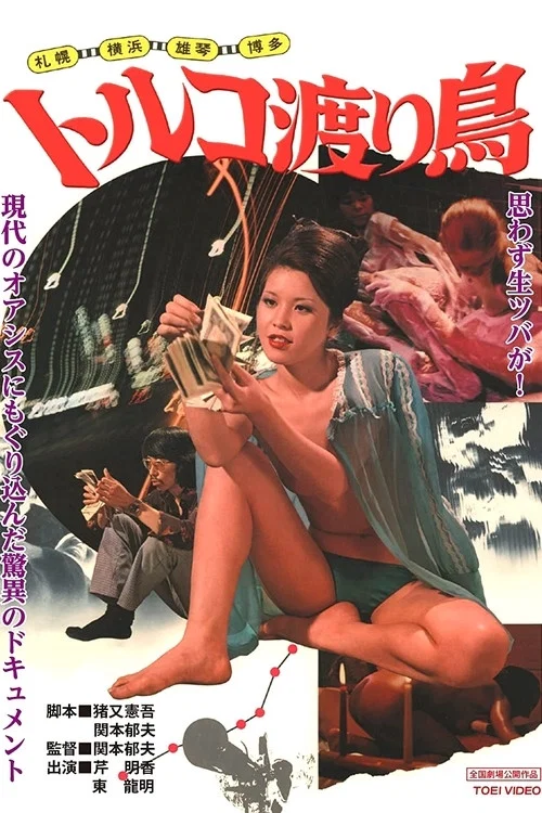 Постер: Sapporo, Yokohama, Nagoya, Ogoto, Hakata: Toruko wataridori