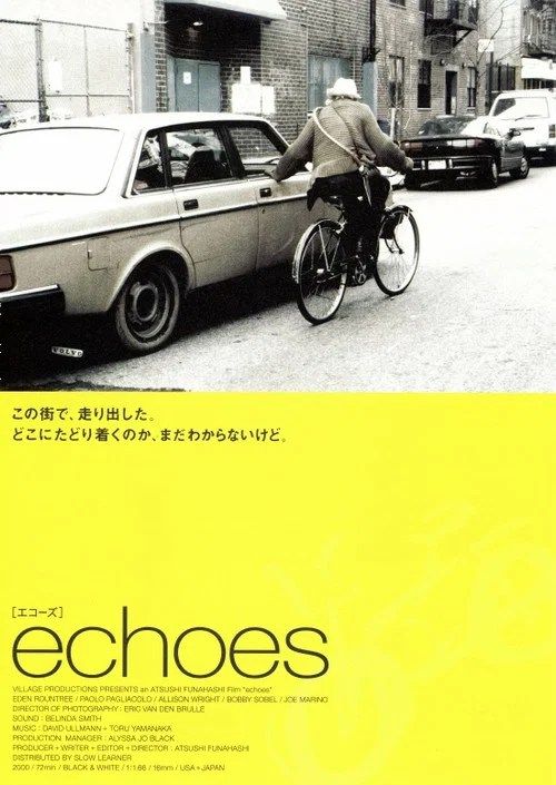 Постер: Echoes