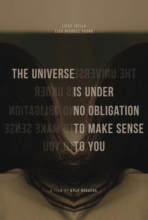 Постер: The Universe is Under No Obligation to Make Sense to You