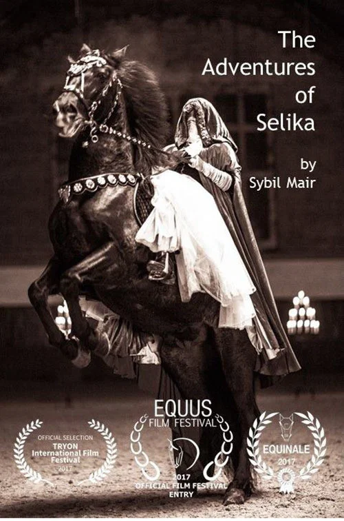 Постер: The Adventures of Selika