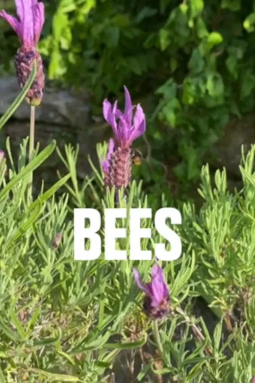 Постер: Bees!