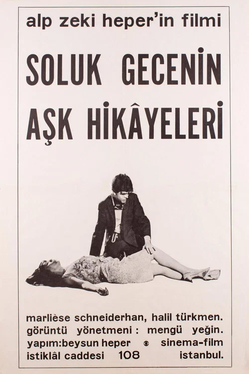 Постер: Soluk gecenin ask hikayeleri