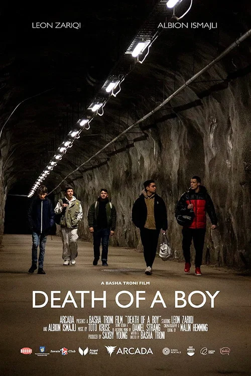 Постер: Death of a Boy