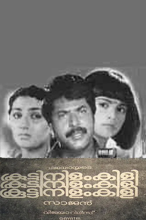 Постер: കൂട്ടിനിളംകിളി