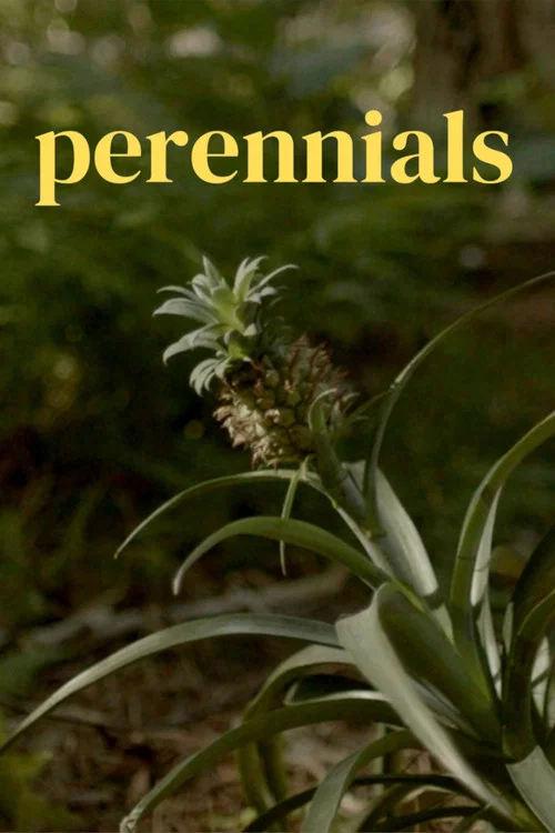 Постер: Perennials