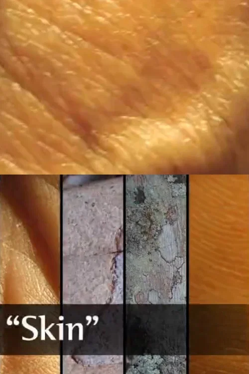 Постер: Skin