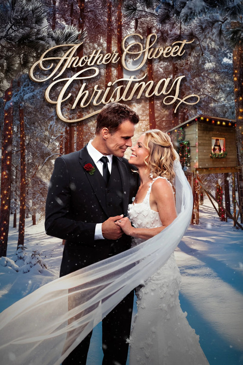 Постер: Another Sweet Christmas