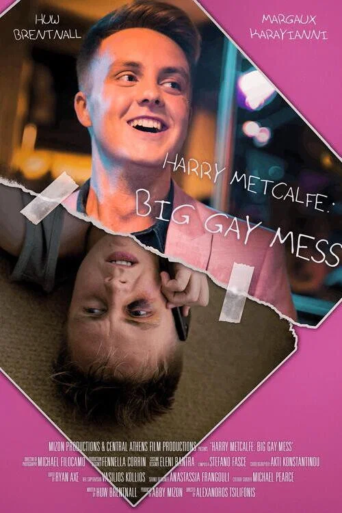 Постер: Harry Metcalfe: Big Gay Mess