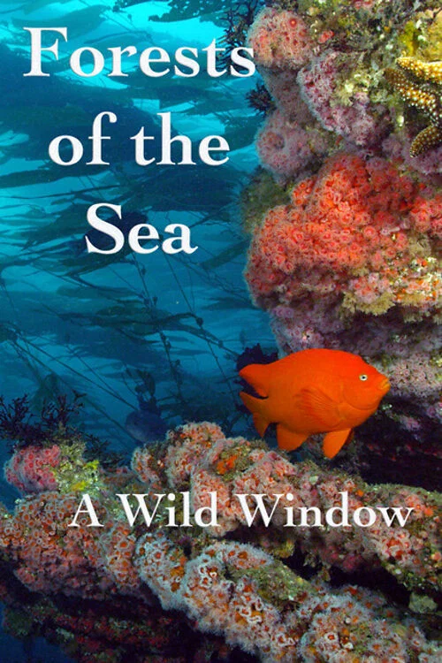 Постер: Wild Window: Forests of the Sea