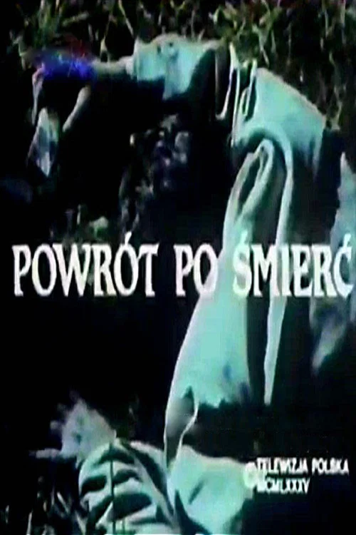 Постер: Temida: Powrót po smierc