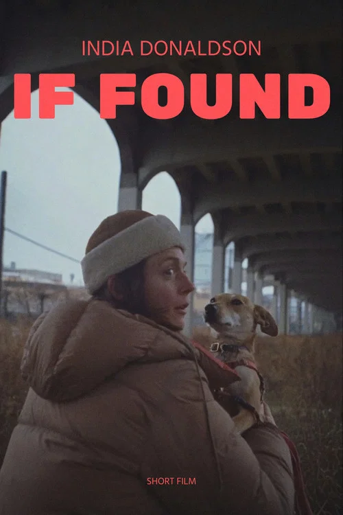 Постер: If Found