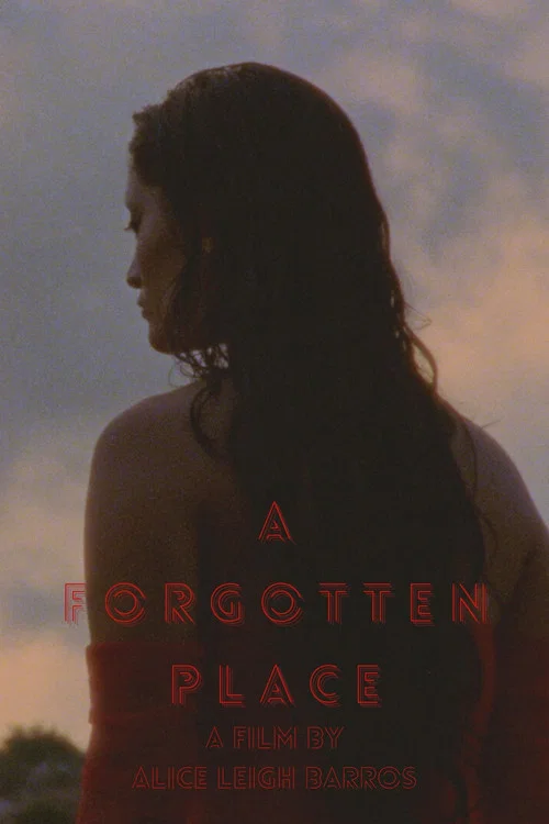 Постер: A Forgotten Place