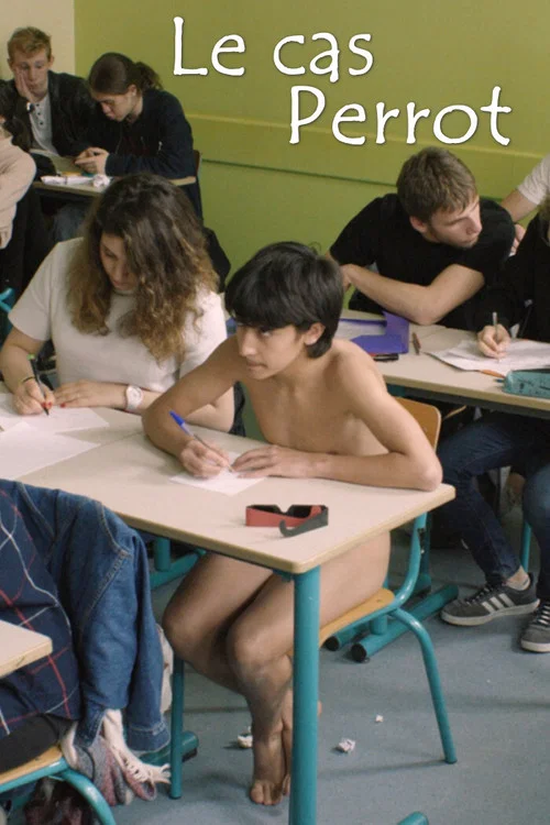 Постер: Le cas Perrot