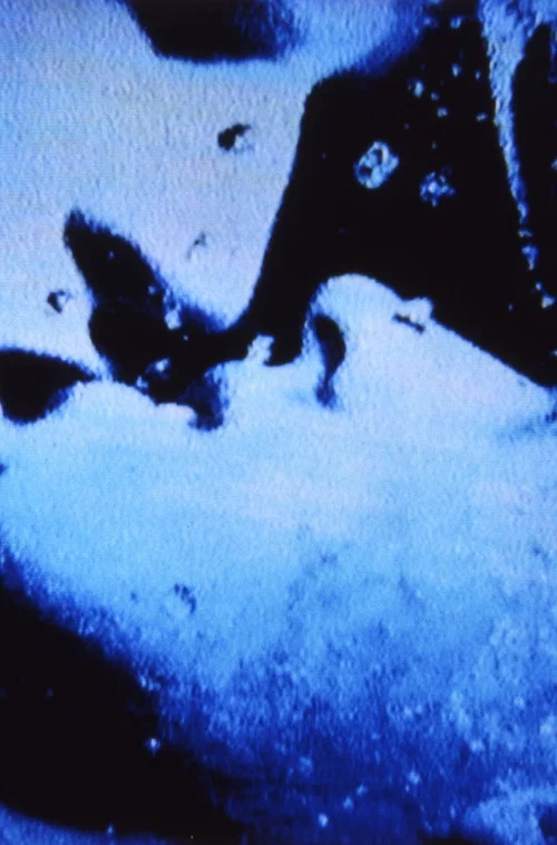Постер: Self-Portrait in 23 Rounds: a Chapter in David Wojnarowicz’s Life, 1989–1991