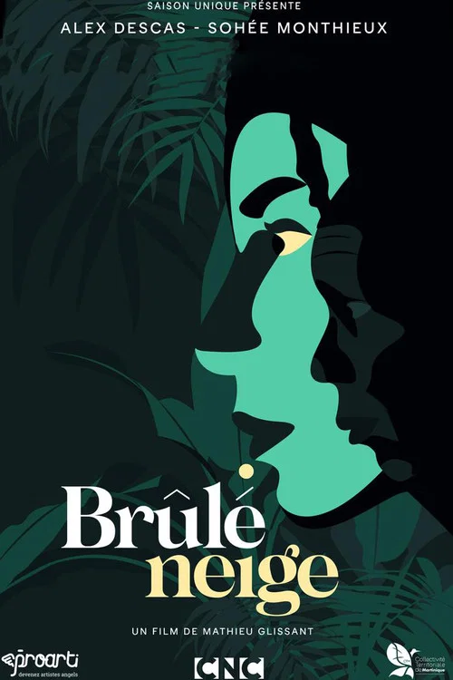 Постер: Brûlé neige