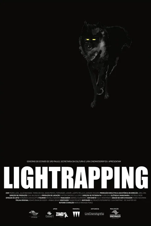 Постер: Lightrapping