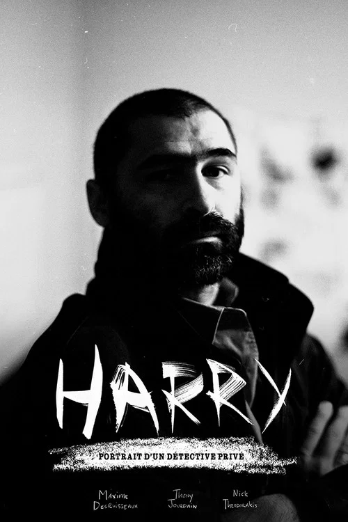 Постер: Harry: Portrait d'un détective privé
