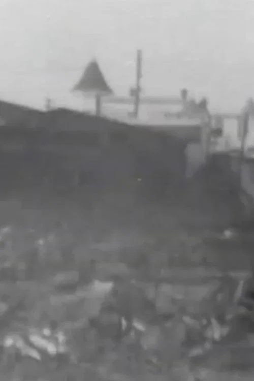 Постер: The Great Fire Ruins, Coney Island