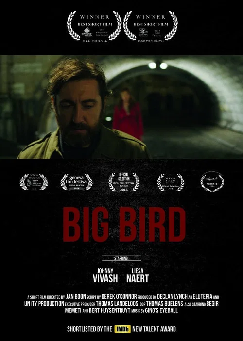 Постер: Big bird