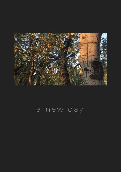 Постер: A New Day