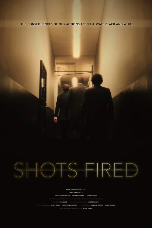 Постер: Shots Fired