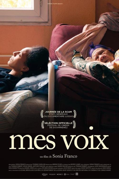Постер: Voices