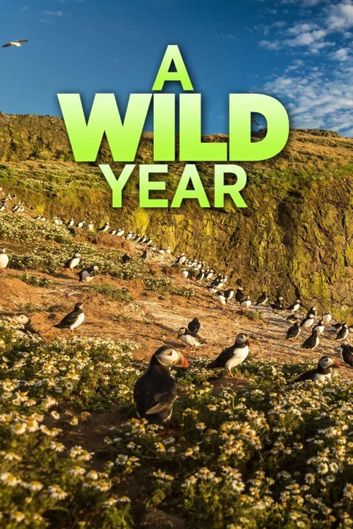 Постер: A Wild Year