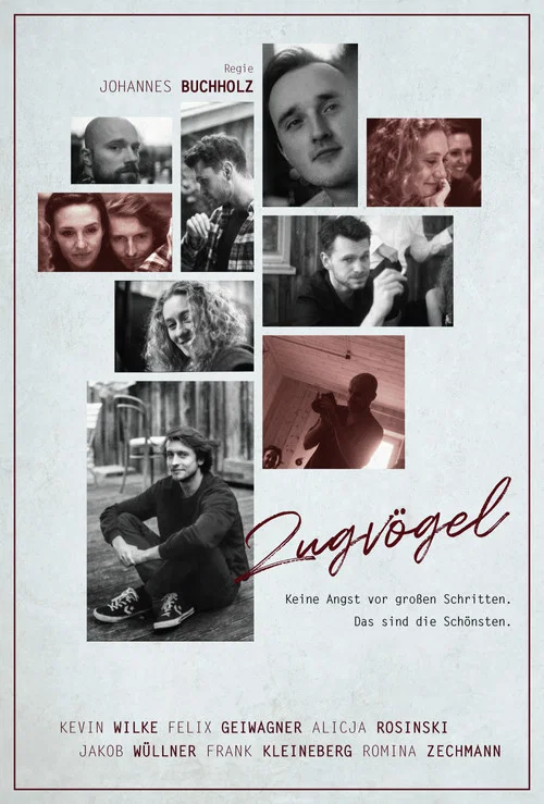 Постер: Zugvögel