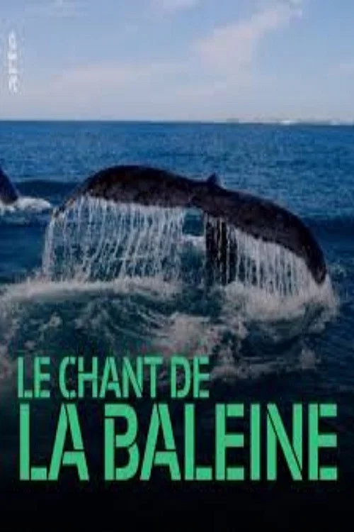Постер: Whale Patrol