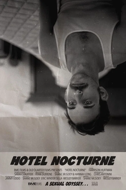 Постер: Hotel Nocturne