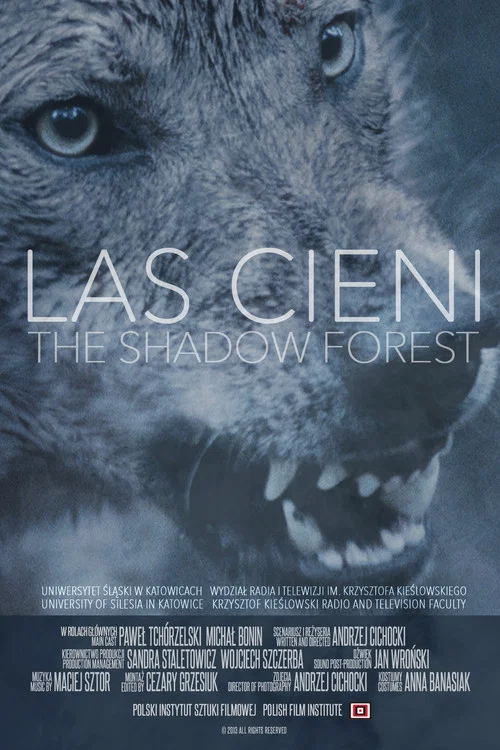 Постер: Las cieni