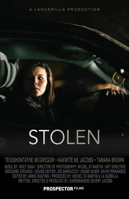 Постер: Stolen
