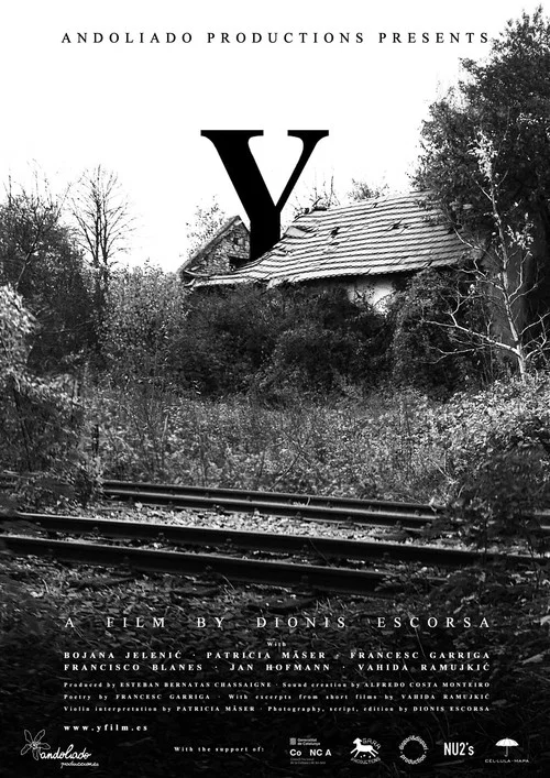 Постер: Y