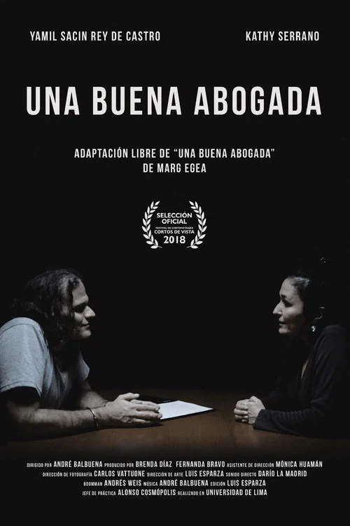 Постер: Una Buena Abogada