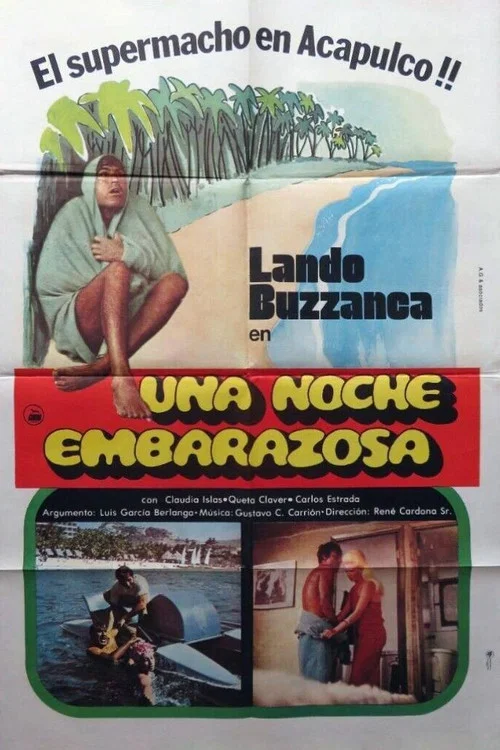Постер: Una noche embarazosa