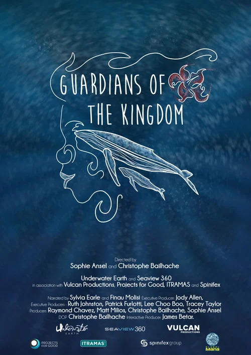 Постер: Guardians of the Kingdom